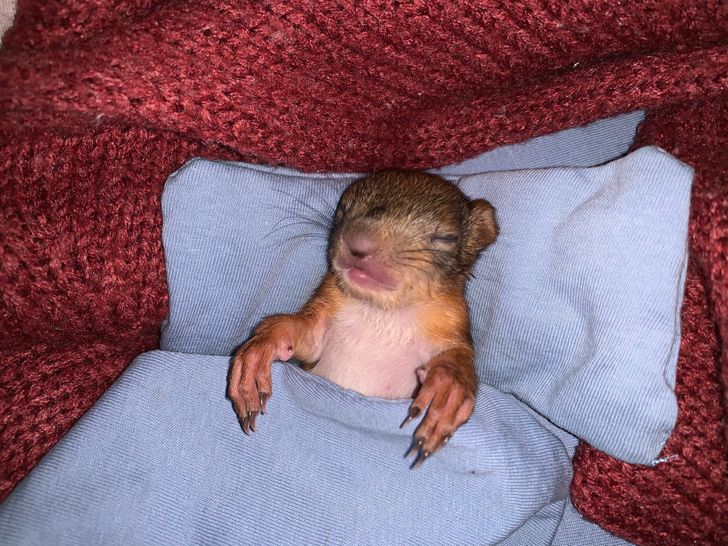 e99b615b05a2ae71f839254152