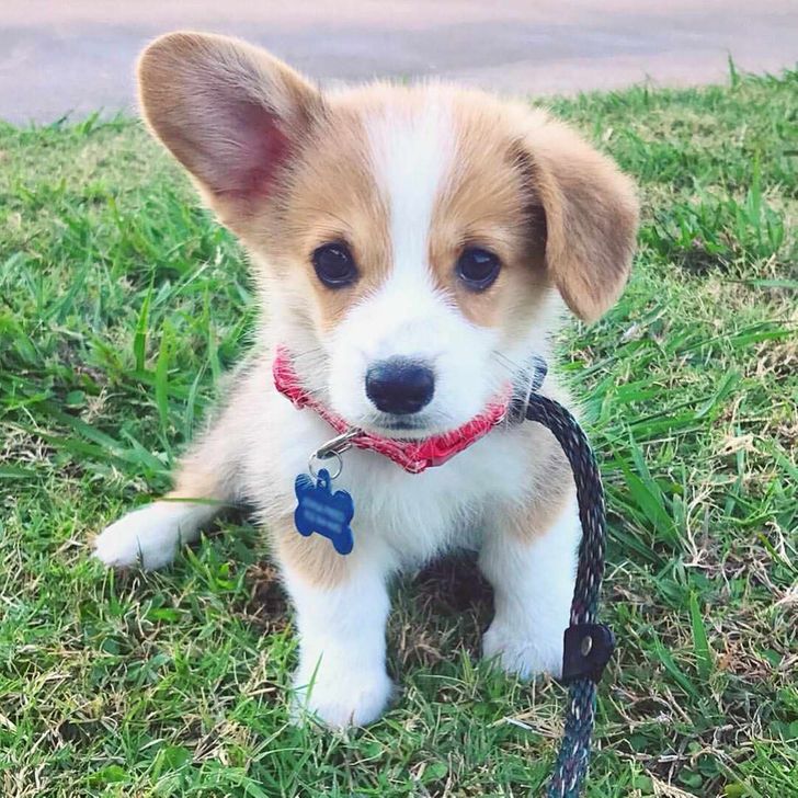 e9a1275974b9bd36f33a741e88