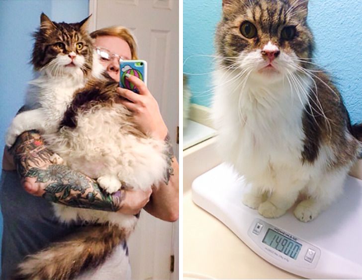 e9a8ee56cdbe9348b390e68dab