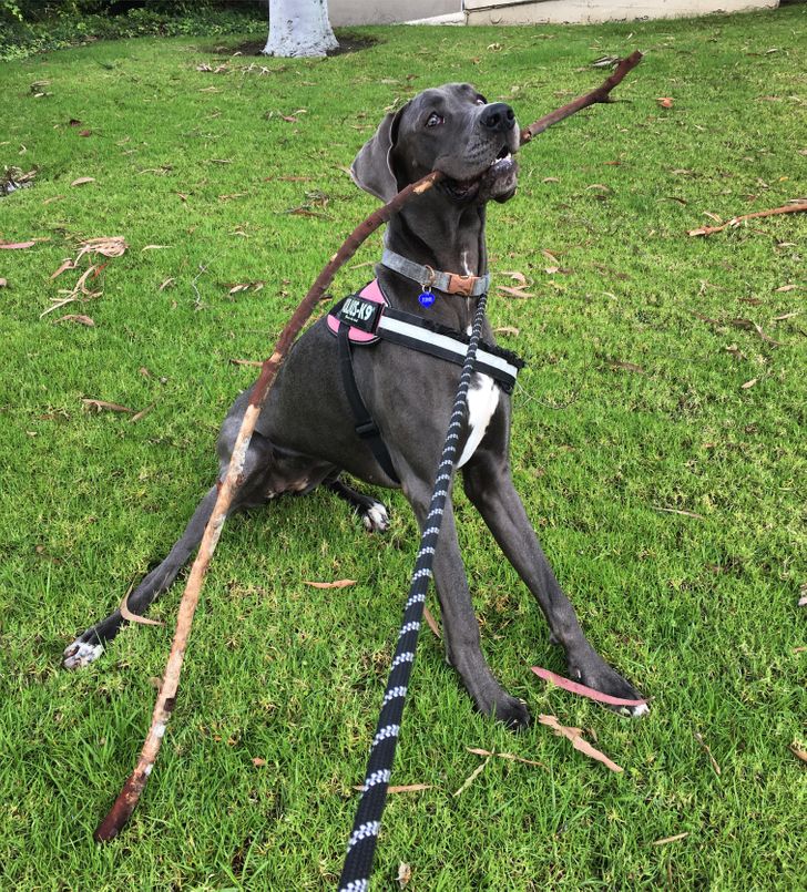 e9aa5059af8dc79bc369a03fb7