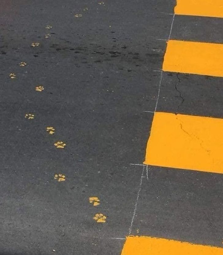 e9ab905abf9b93d07dc77a815b