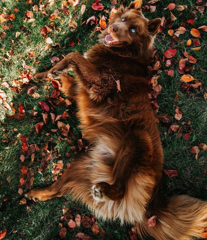 e9abe75d559abdf0413b1f84e4