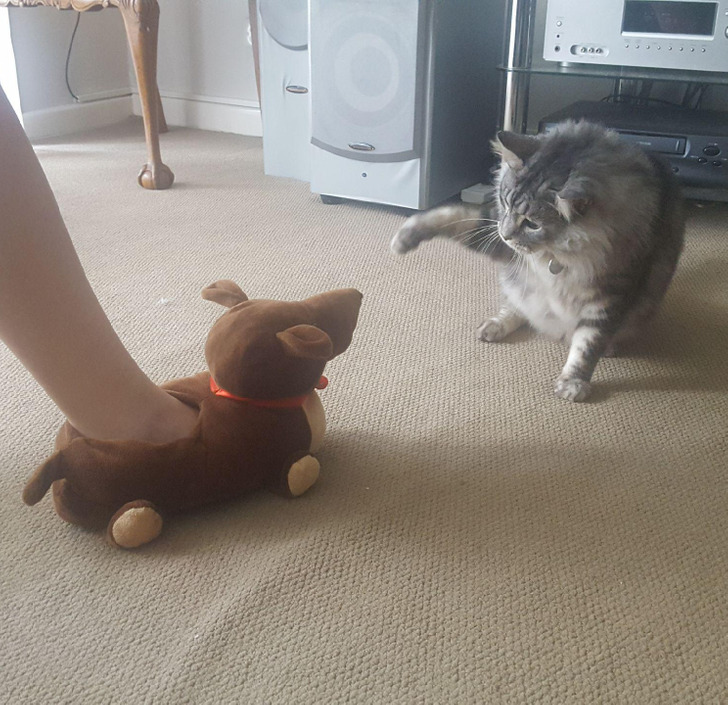 e9ad795dd9b8bf6dee4c3d83ab