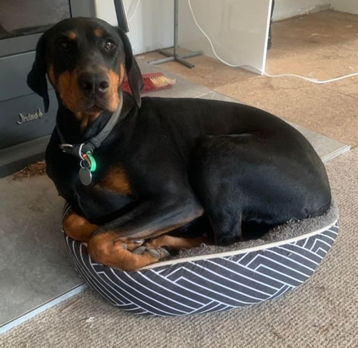 e9ae1859d9a6ecfbd6a8a171a4