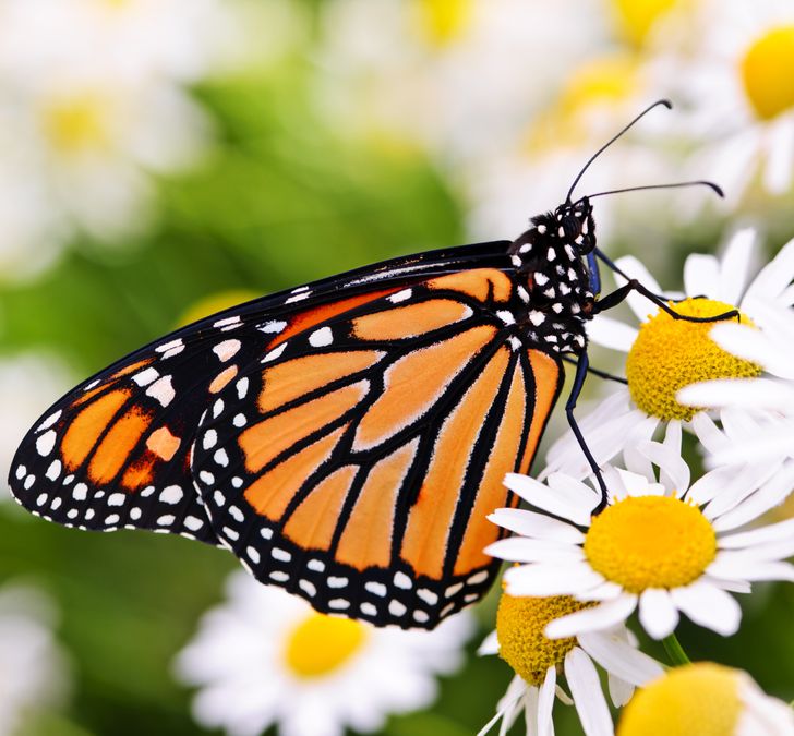 e9ae9a5e0b840551abcd7685d7