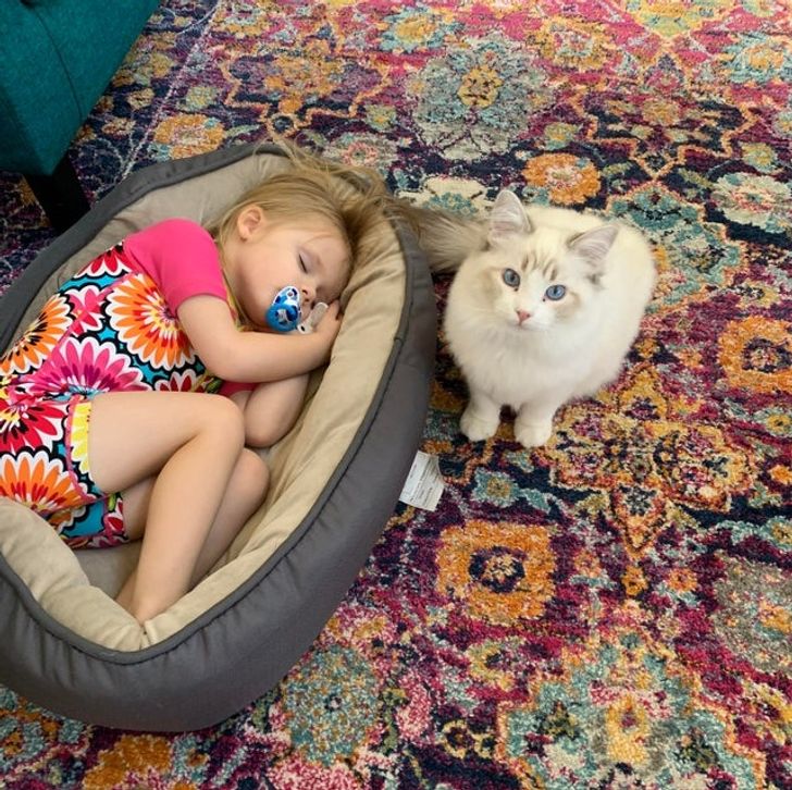 e9aeb9582e9288450990f4cc5b