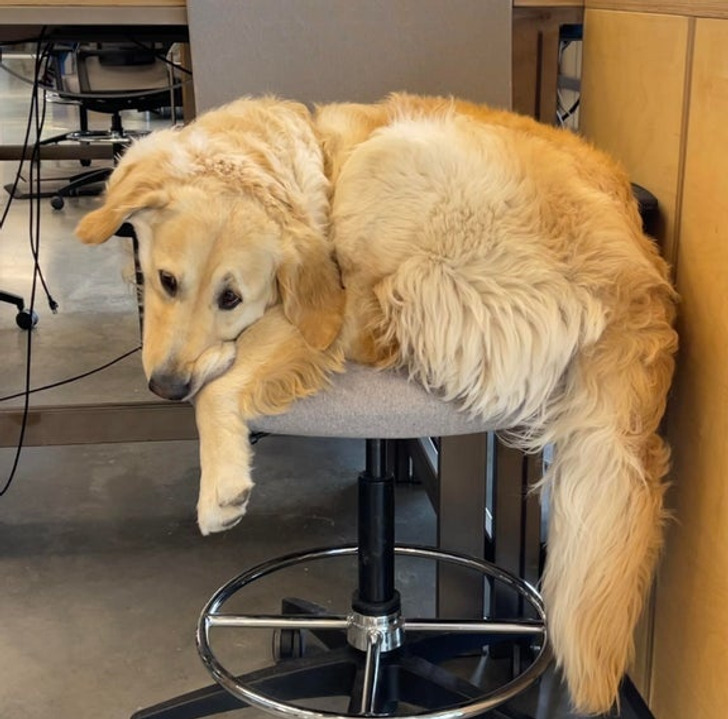 e9b4e0502ebd48feae5bbd11a4 e9b4e0502ebd48feae5bbd11a4