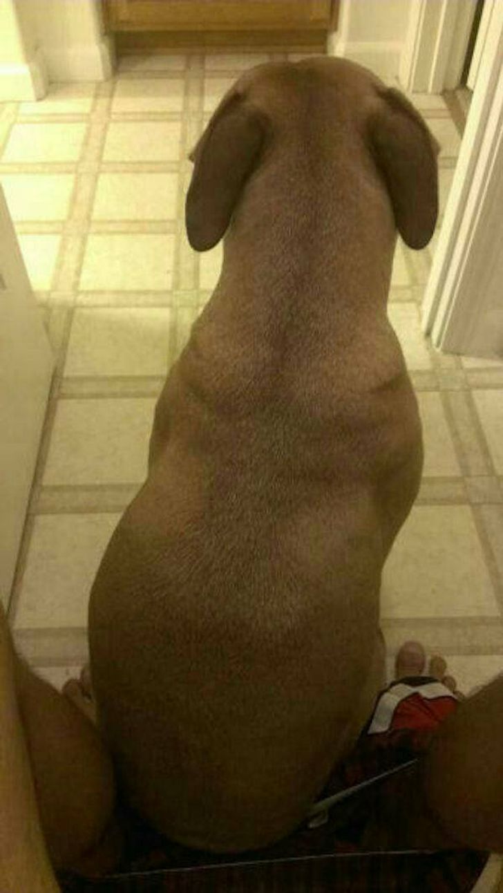 e9b6495f00ab2e612c6ca2bd21