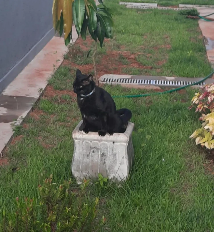 e9ba3a5cf1b934ca1f77aaf540