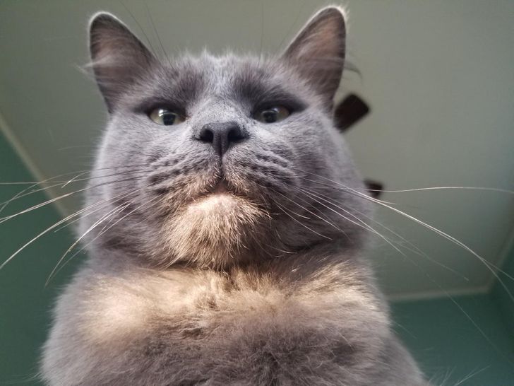 e9bd3256d8b111a533d2b084d5