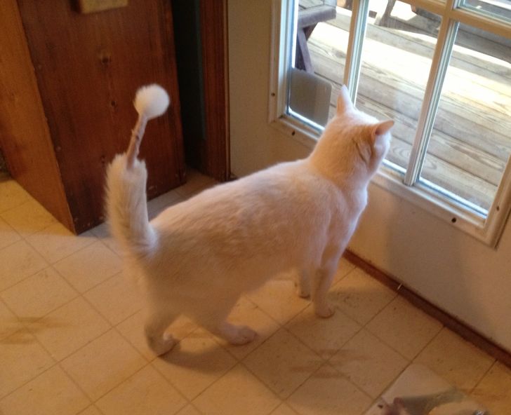 e9c01051e4af2668431ce9f389