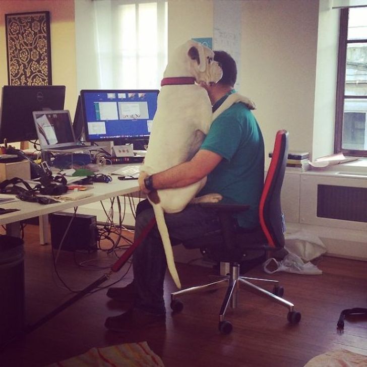 e9d23558d5bb5fc4fa5f4b3c12