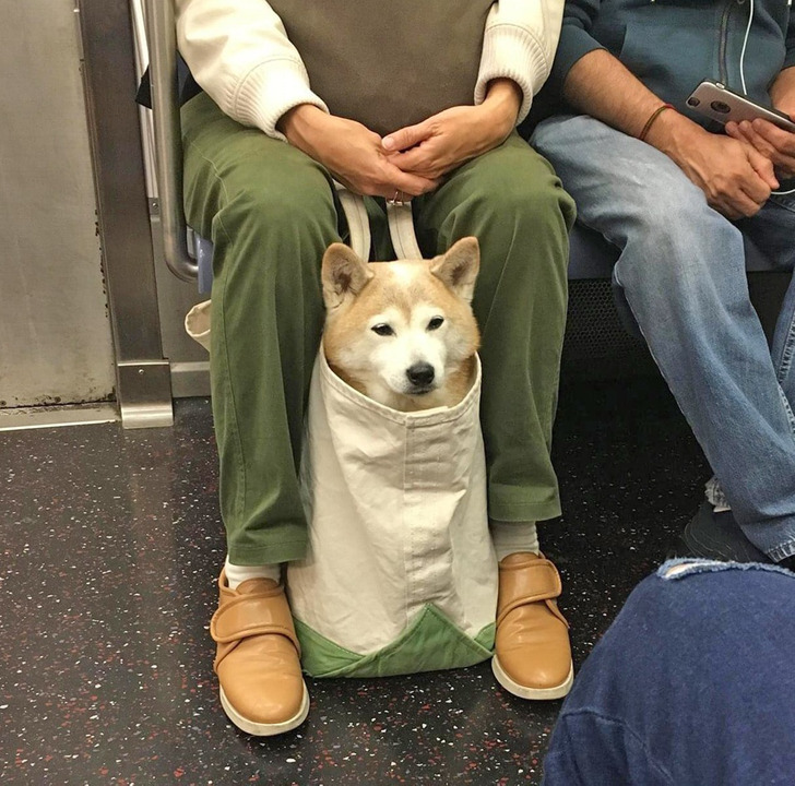 e9d9df5825ada2f94864e08bc1