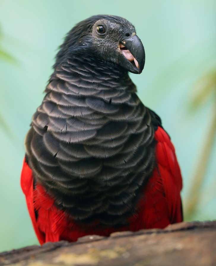 e9dfba59338ec63fdca3c9b34e