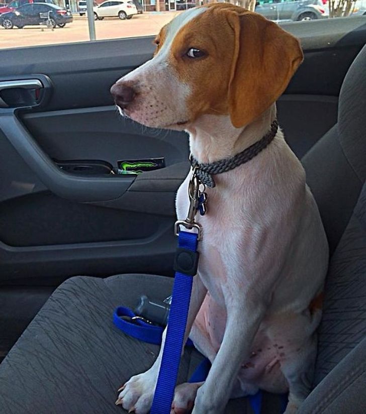 e9dfeb585881649ac55c4f4ca8