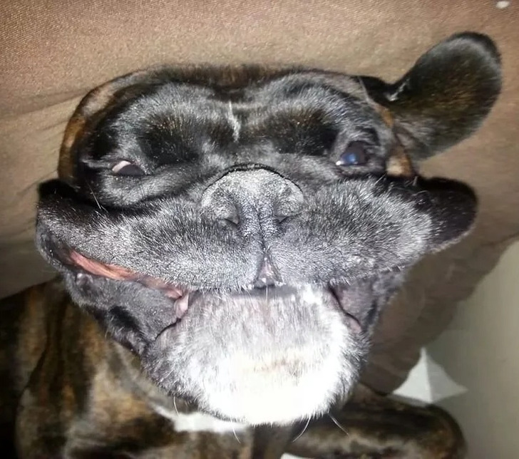 e9e07d590d8428c17ed1a3f3cf