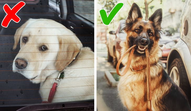 e9e39c52078ab2540a417cef70