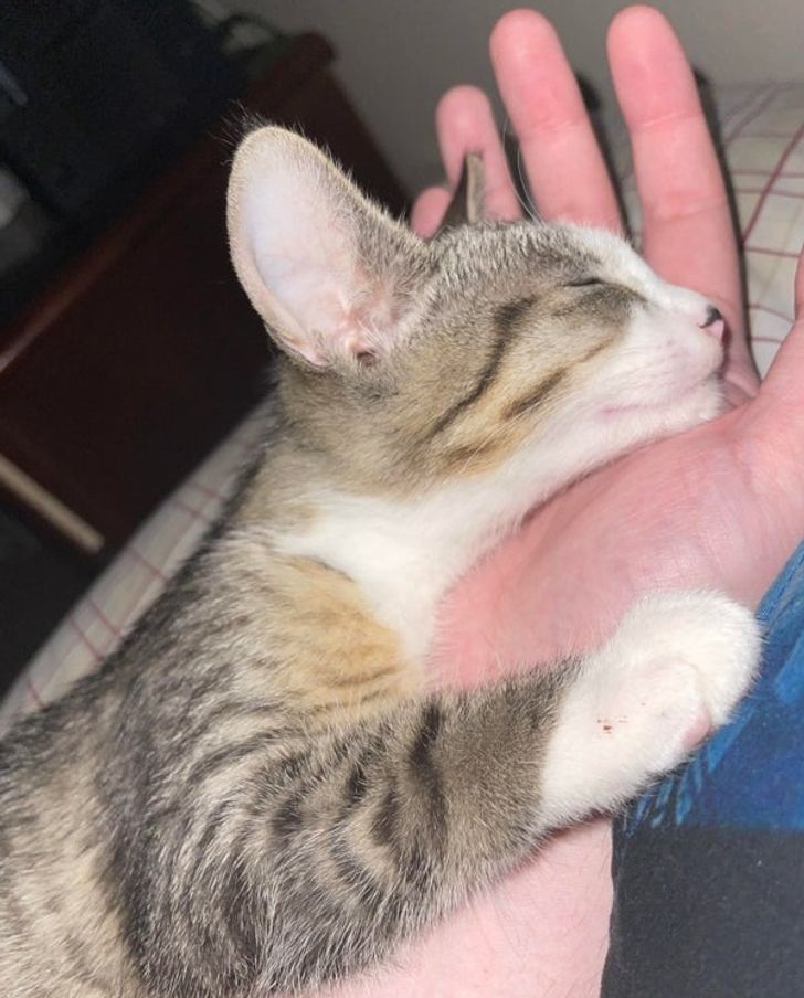 ea04c754f183452ea0ce294860 ea04c754f183452ea0ce294860