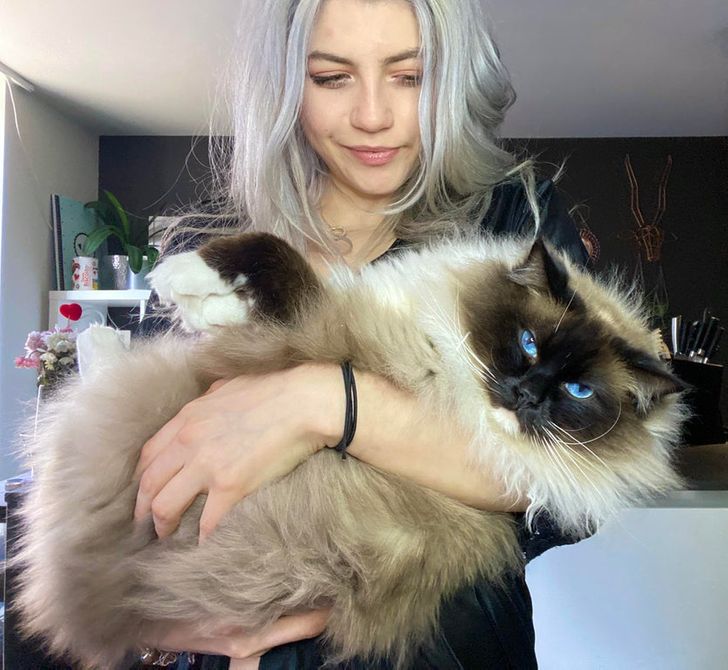 ea0eda5c1da59c78929b066871