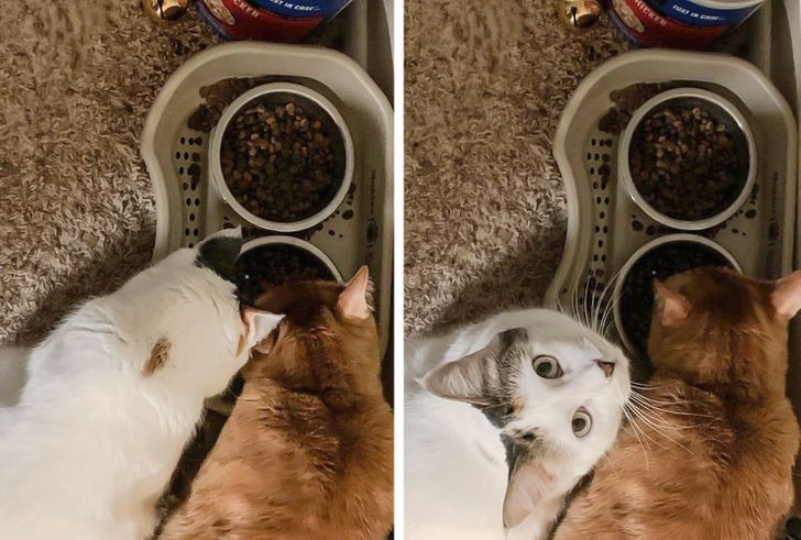 ea116156f1a20ab4d09e5b693c