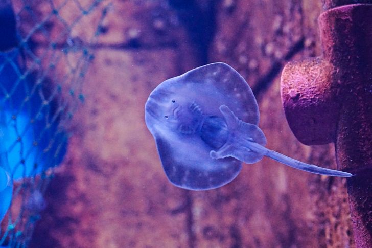 ea1250543cb313840ab45937bf