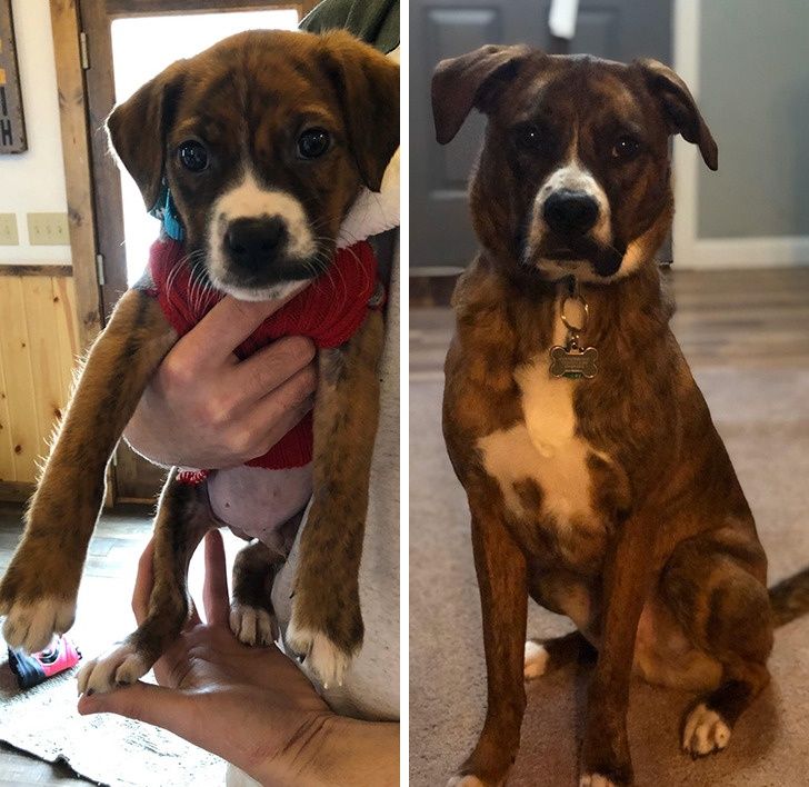 ea1a325ecba9c30f5492b23d8b