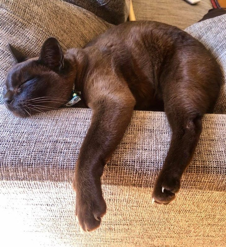 ea1ac856758a6864d525c3b9b7