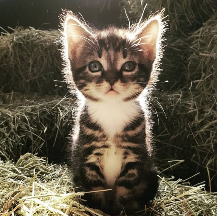 ea225d5b789710f8f7cc38c807