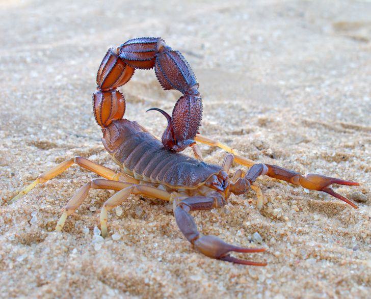 ea2ab25cbcad9b8412a91220db