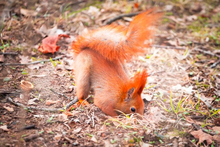 ea2d3f5fd8b5920ef4d7c18bc4