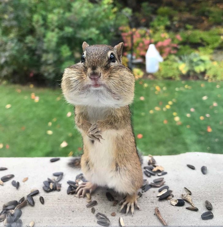 ea2ff45ed68b08faa3d2e7165f