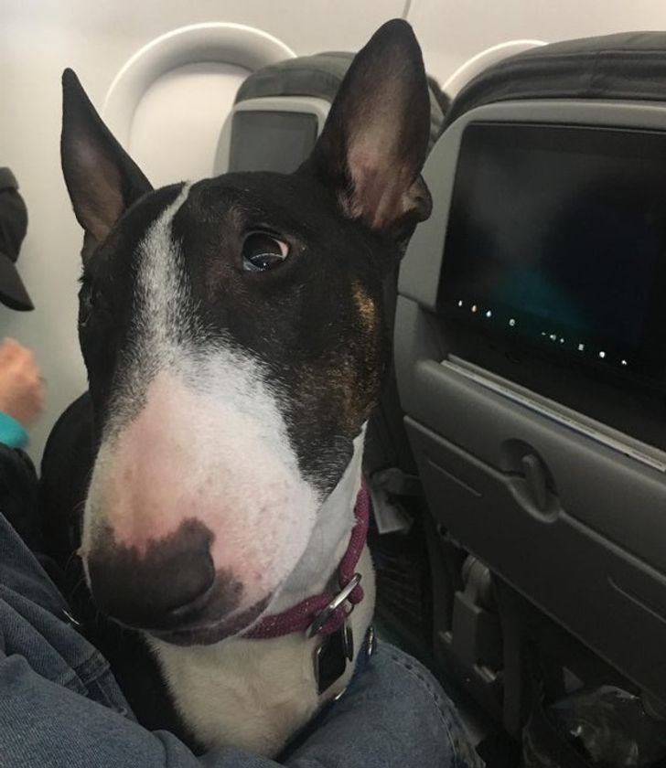 ea395c5d5ebd66a551f1981e94