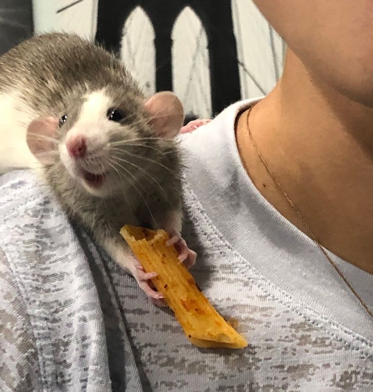 ea398a530cb7babd683c6e499c