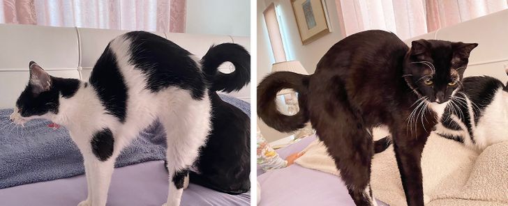 ea3d1859099dbcf82f5591eb04