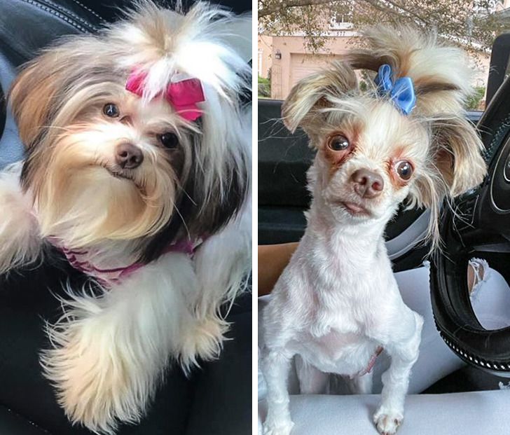 ea4b5d5ba78db4e15877aad00c