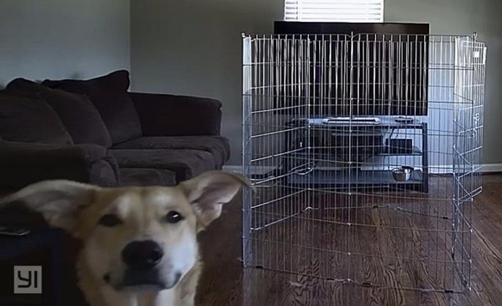 ea4dbb5ff988aa1c54e278975d