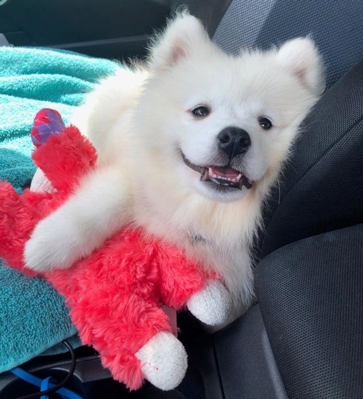 ea50a256339e28036304cb0976