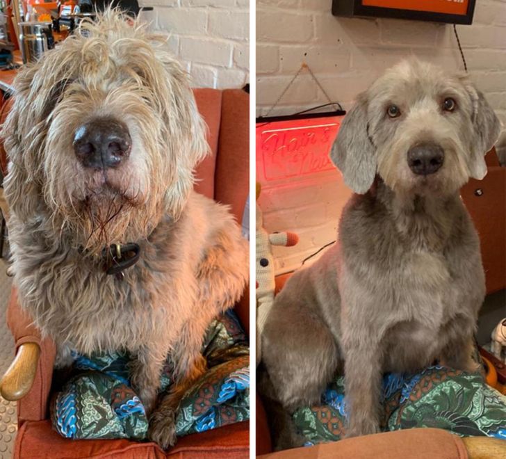 ea618458e0b99c0ae081fc7075