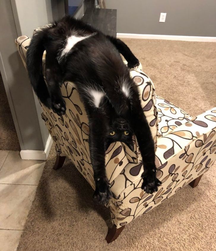 ea6445500b82d32f34b35303dd