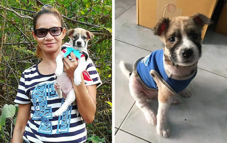 ea6b575a038a15566574f131d0