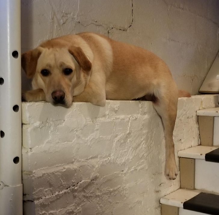 ea6de955bf8075120bb4de3826