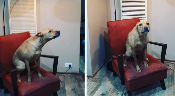 ea6fad5f3da02bce77df3316b8