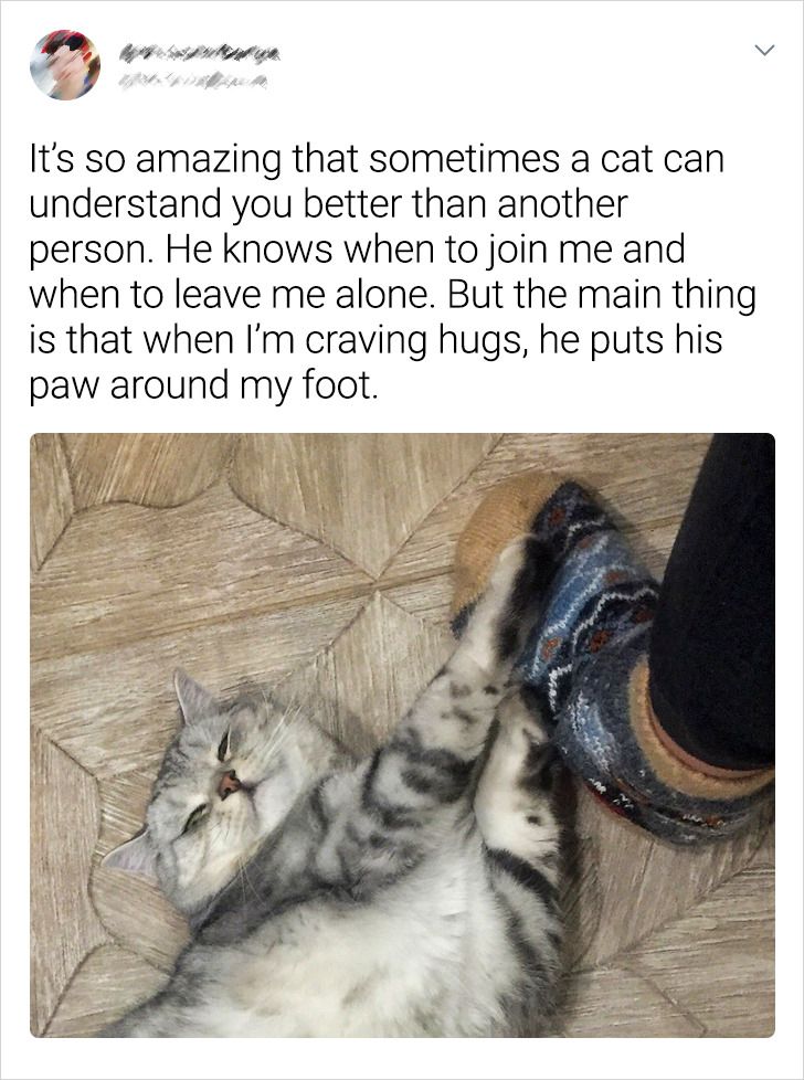 ea70ca5c3086e599c1192394b7