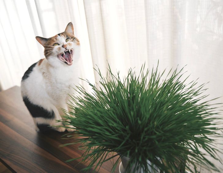 ea71ac5631b62e74d7320b502a