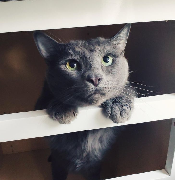 ea721e5d49ae9097d1e315bea1