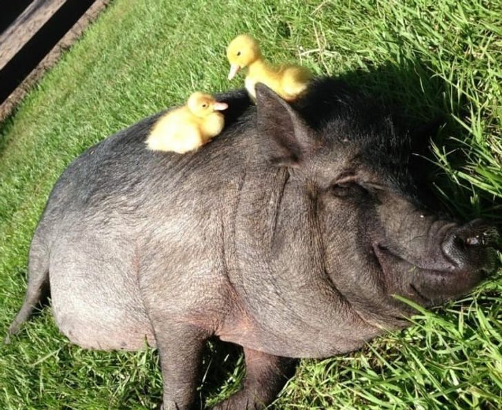 ea831252f1a1cf46d1f4b4fec3