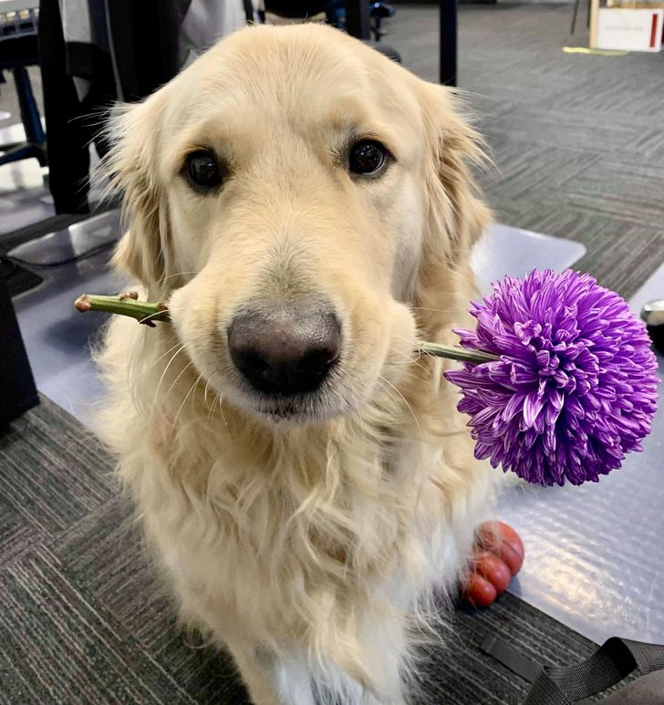 ea83f453ed9ec09c1a2acc9d09