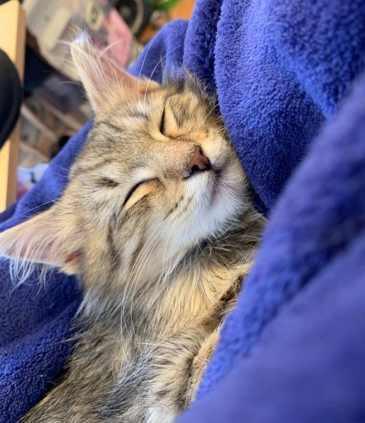 ea842050a5876e9b51e67810a9