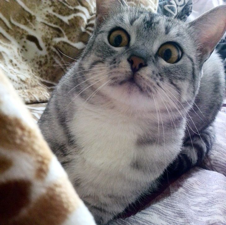 ea92aa5d30b7321977c1a39bbe