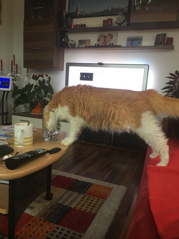 ea9de456a5814e6e5d9fcfff06 ea9de456a5814e6e5d9fcfff06